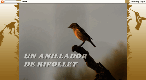 anilladorderipollet.blogspot.com