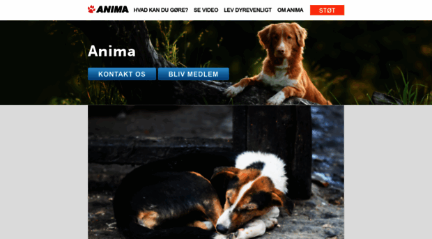 anima.dk