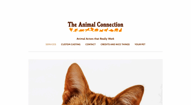 animal-connection.com