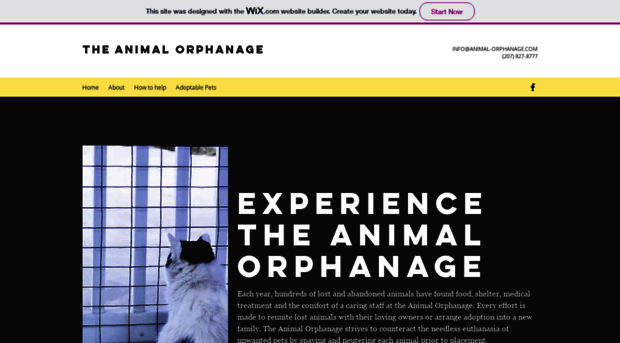 animal-orphanage.com