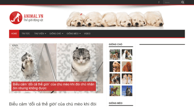 animal.vn