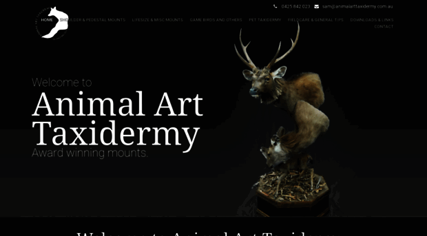 animalarttaxidermy.com.au