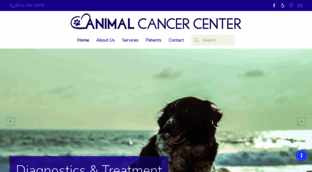 animalcancercentermonterey.com