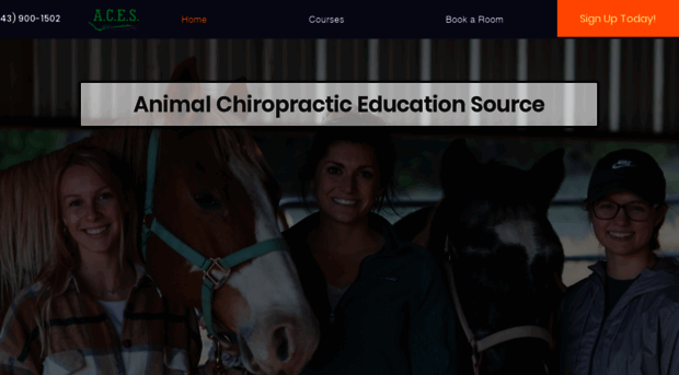 animalchiropracticeducation.com