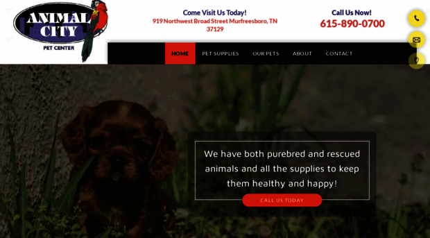 animalcitypets.com