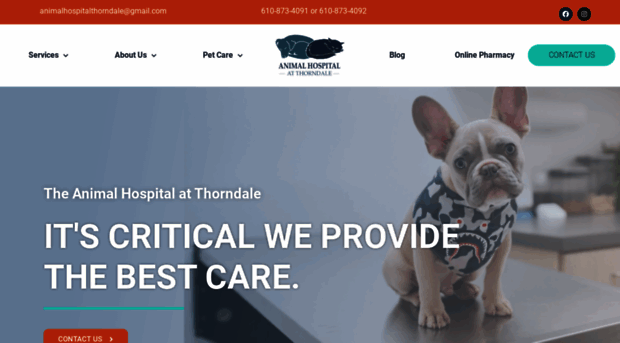 animalclinicatthorndale.com