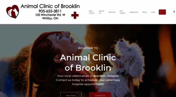 animalclinicbrooklin.com