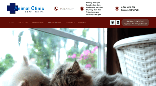 animalcliniccalgary.com