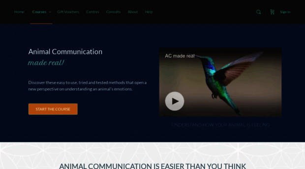 animalcommunicationtraining.co.uk