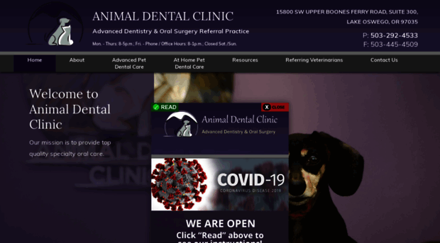 animaldentalclinicnw.com