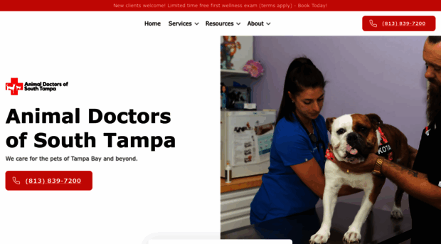 animaldoctorstampa.com
