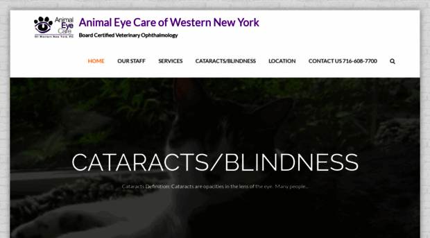 animaleyecareofwny.com