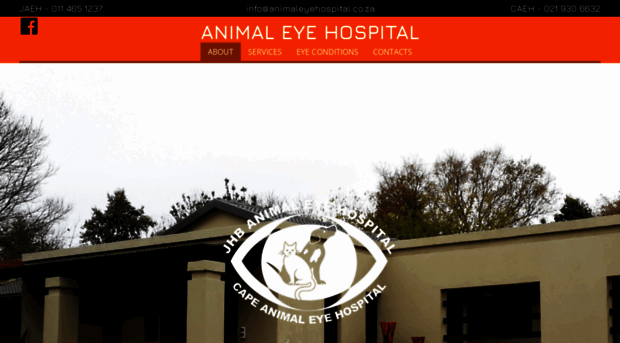 animaleyehospital.co.za