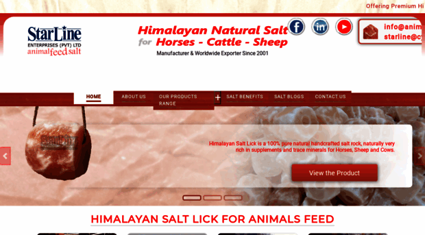 animalfeedsalt.com