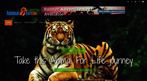 animalforlife.co.uk