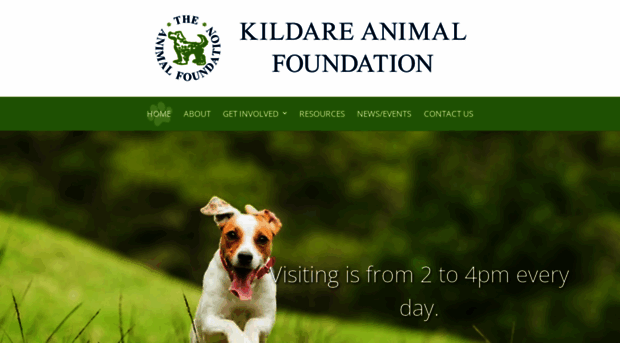 animalfoundation.ie