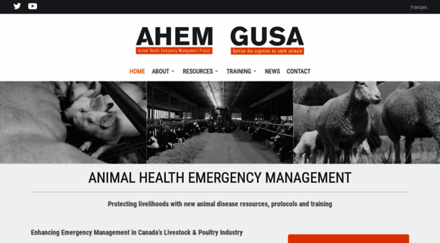 animalhealth.ca