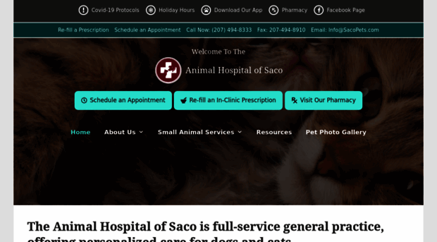 animalhospitalofsaco.com