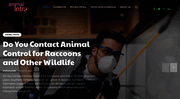 animalintro.com