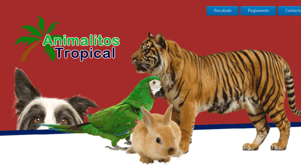 animalitostropical.com.ve