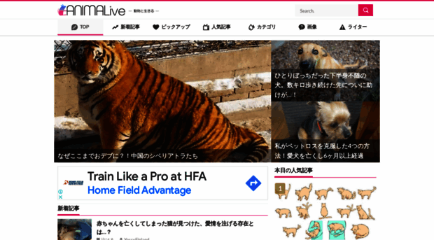 animalive.me