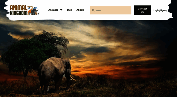 animalkingdom.org