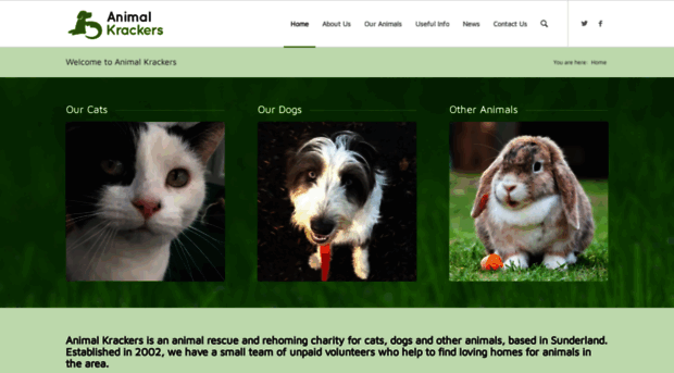 animalkrackers.co.uk