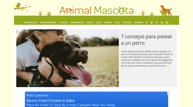 animalmascota.com