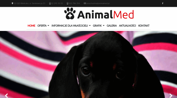 animalmed.pl