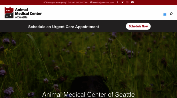 animalmedicalspecialists.com