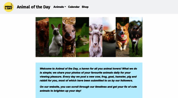 animaloftheday.com