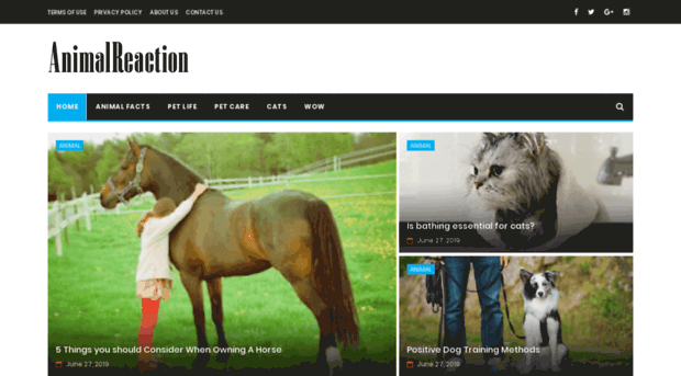 animalreaction.com