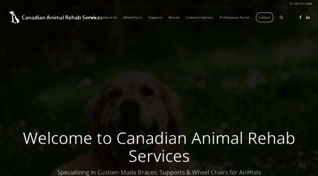 animalrehab.on.ca