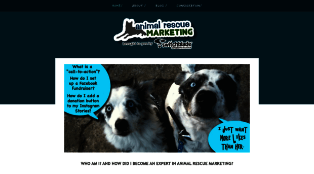 animalrescuemarketing.com