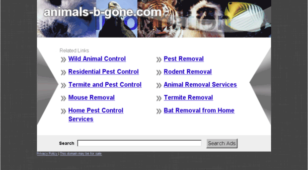 animals-b-gone.com