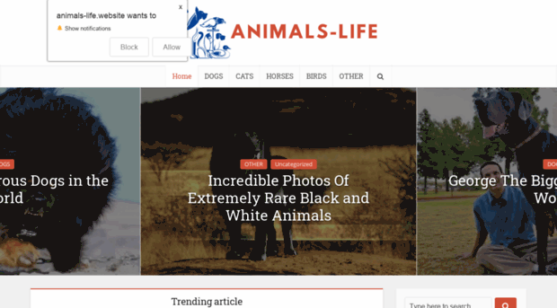 animals-life.website