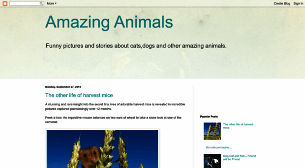 animals-wow.blogspot.com