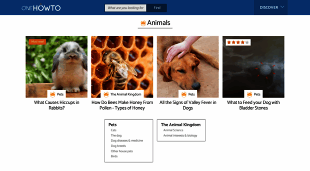 animals.onehowto.com