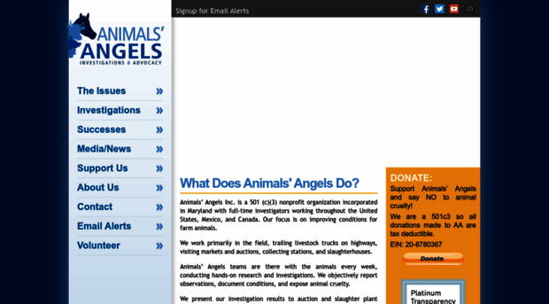 animalsangels.org