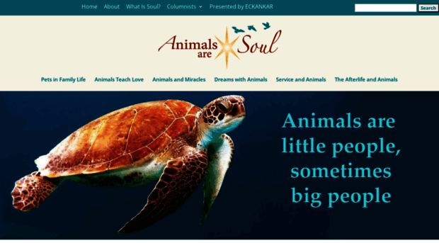 animalsaresoul.blog