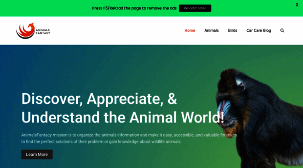 animalsfantacy.com