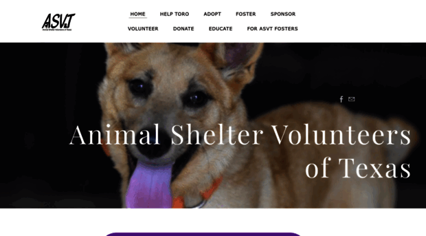 animalsheltervolunteersoftexas.com