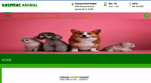 animalshospital.com