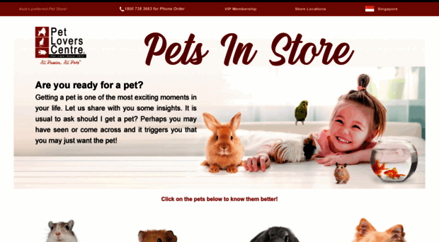 animalsinstore.petloverscentre.com