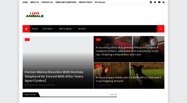 animalsnew.com