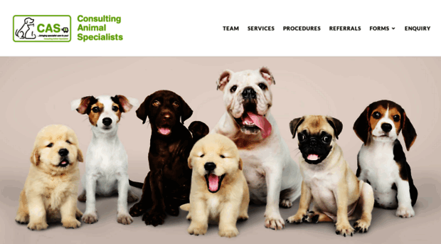 animalspecialists.com.au