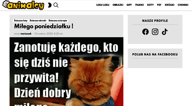 animalsy.pl