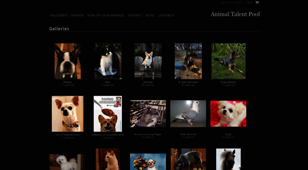 animaltalentpool.photoshelter.com