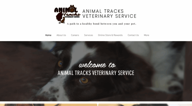 animaltracksvet.com