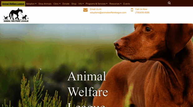 animalwelfareleague.com